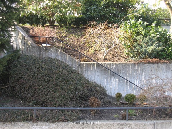 Treppenlauf (vorher)